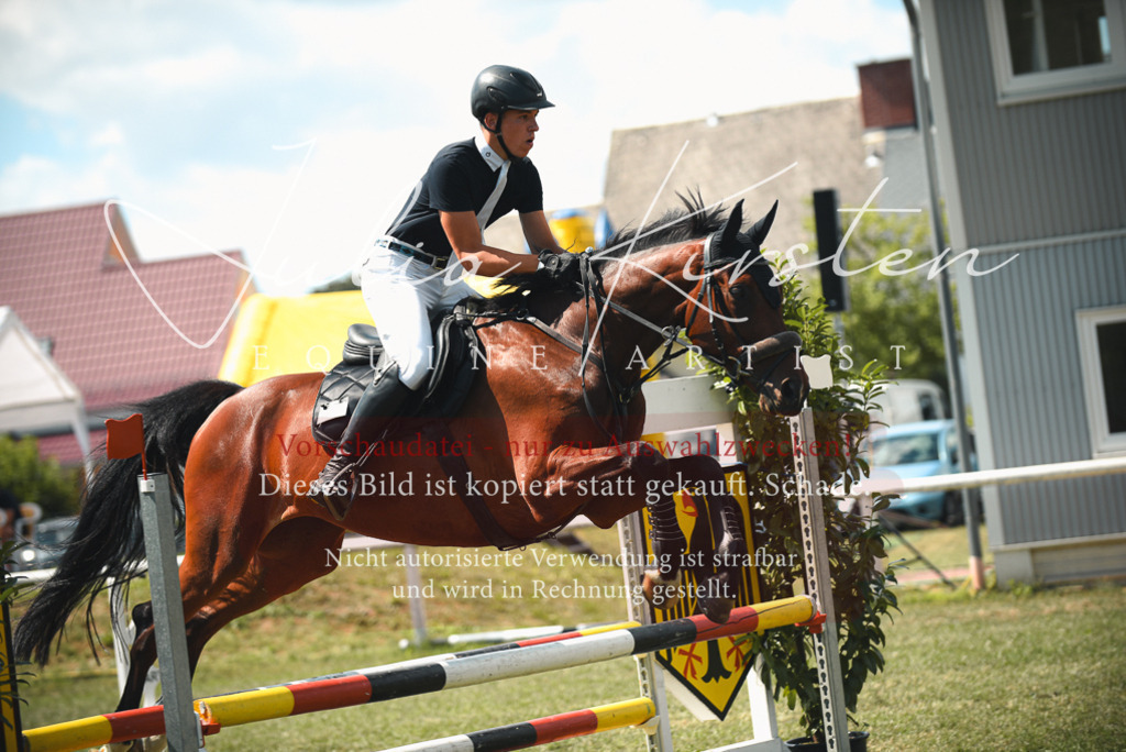DSC_6627 | Pferde- und Turnierfotografie in Westsachsen. Pferdeportraits, Auftragszeichnungen und intuitive Kunst.