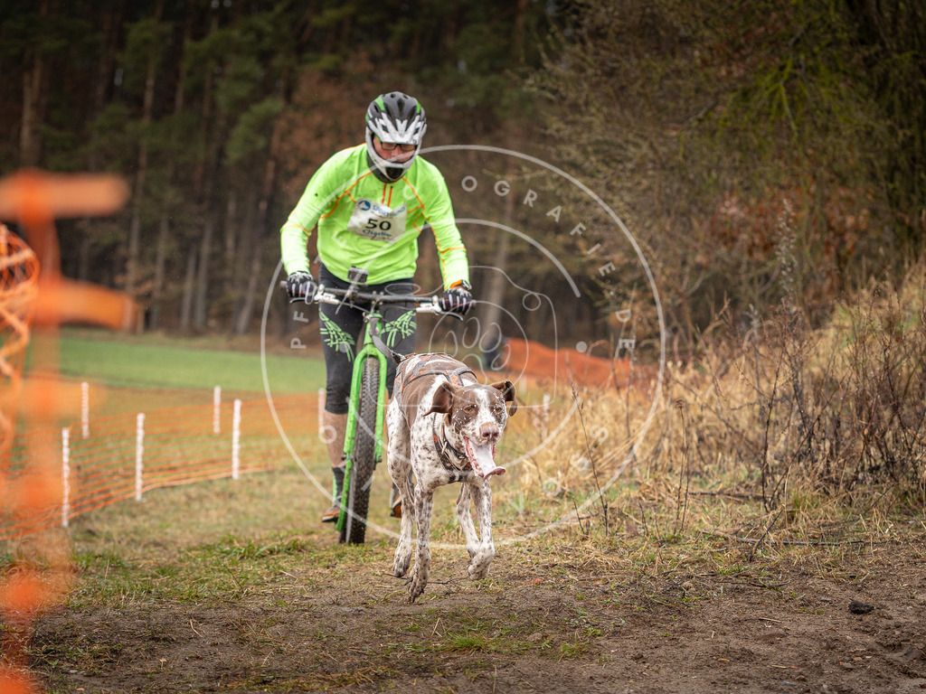 DV3A9425 | Hundefotografie, Tierfotograf, Pfotenfotografie, Fotoshooting Hund, Hunde Portrait, Hundesport, Hundeportraits, Heideshooting, Hunde, Sportfotograf, Hundefotograf, Turnierhundsport, THS,  - Realisiert mit Pictrs.com