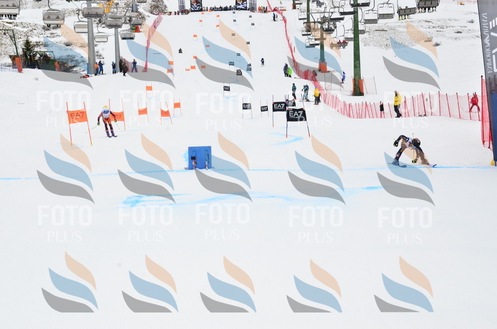 _ELE3886 | holidayphoto