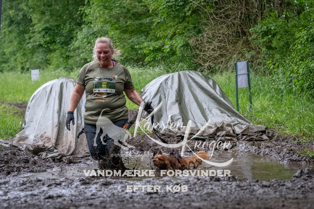 1605_ZZ92256-Bearbeitet | kk-dogfotos