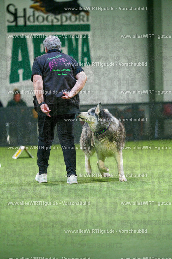 7R504408 | Professionelle Tierfotografie in Mönchengladbach von Daniel Wirth (allesWIRTHgut). Liebevolle & natürliche Bilder von Hunden & Katzen für unvergessliche Erinnerungen.