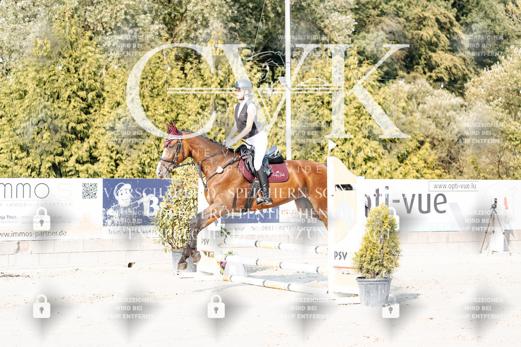 CK902850 | Turnierfotografie Pferdefotografie Trier Rheinland-Pfalz Pferdesport Reitsport Tierfotografie Sportfotografie Pferdevideo Pferdevideografie Equestrianvideography equestrianphotography  - Realisiert mit Pictrs.com