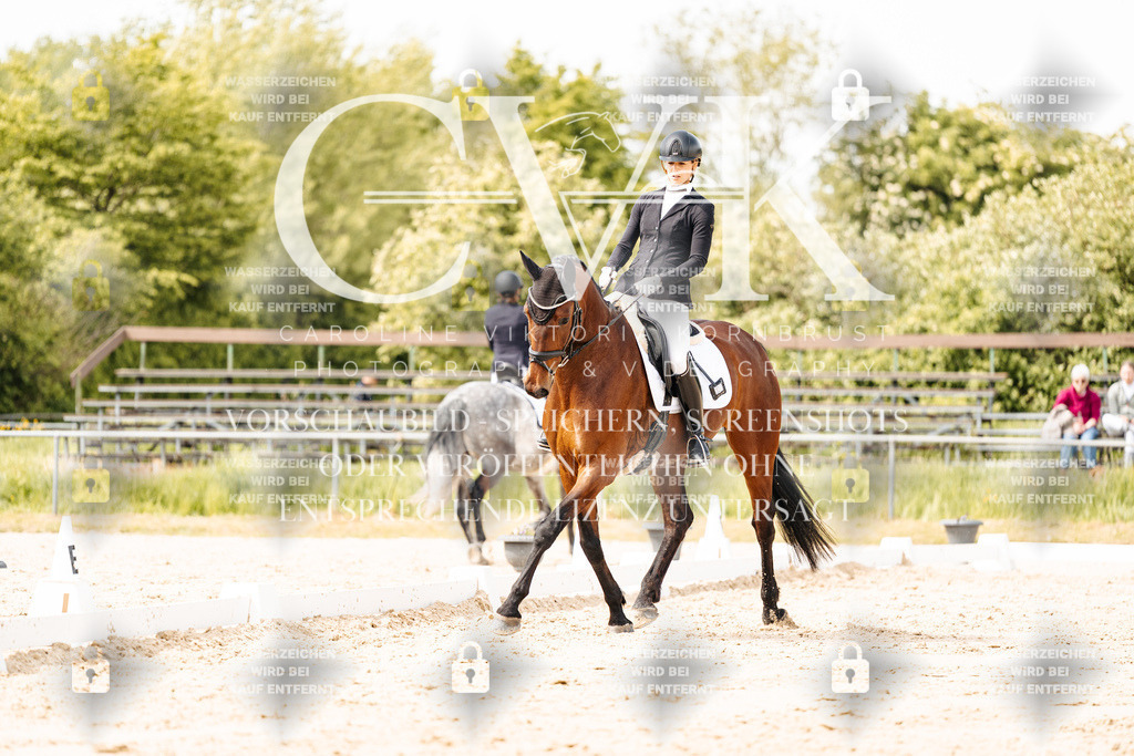 CK901493 | Turnierfotografie Pferdefotografie Trier Rheinland-Pfalz Pferdesport Reitsport Tierfotografie Sportfotografie Pferdevideo Pferdevideografie Equestrianvideography equestrianphotography  - Realisiert mit Pictrs.com