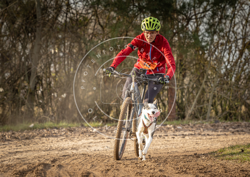 Pfotenfotografie_DV3A8723 | Hundefotografie, Tierfotograf, Pfotenfotografie, Fotoshooting Hund, Hunde Portrait, Hundesport, Hundeportraits, Heideshooting, Hunde, Sportfotograf, Hundefotograf, Turnierhundsport, THS,  - Realisiert mit Pictrs.com