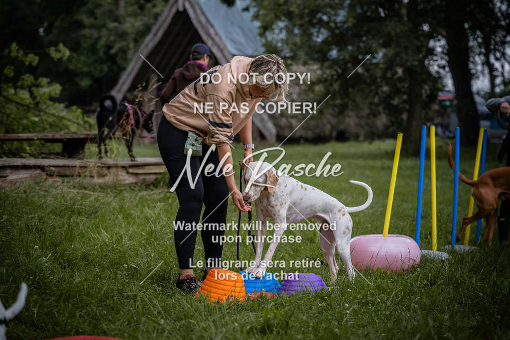 nelerasche_SoEarlyDog_02 | nelerasche