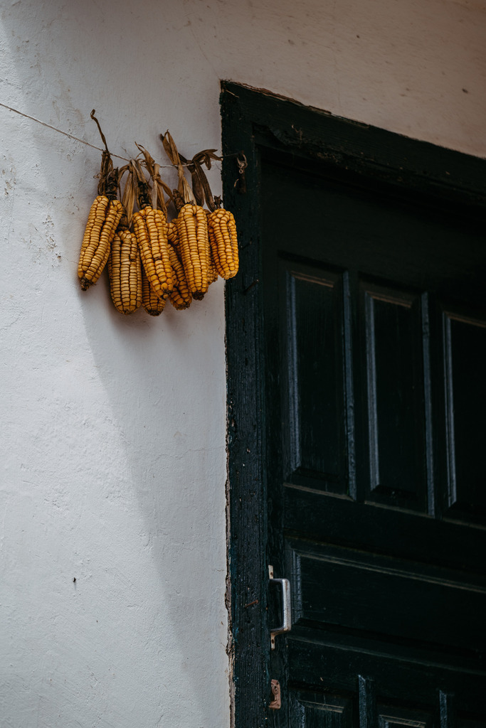 Teneriffa_by Leevke Draack_32 | Du suchst natürliche und atmosphärische Prints oder Leinwanddrucke? In diesem Shop gibt es alles, nur kein Mainstream. - Realisiert mit Pictrs.com