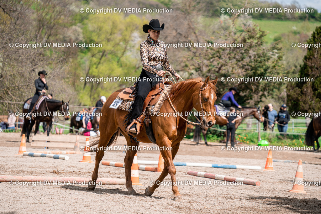 BAL02447 | dv-media-shop - Realisiert mit Pictrs.com