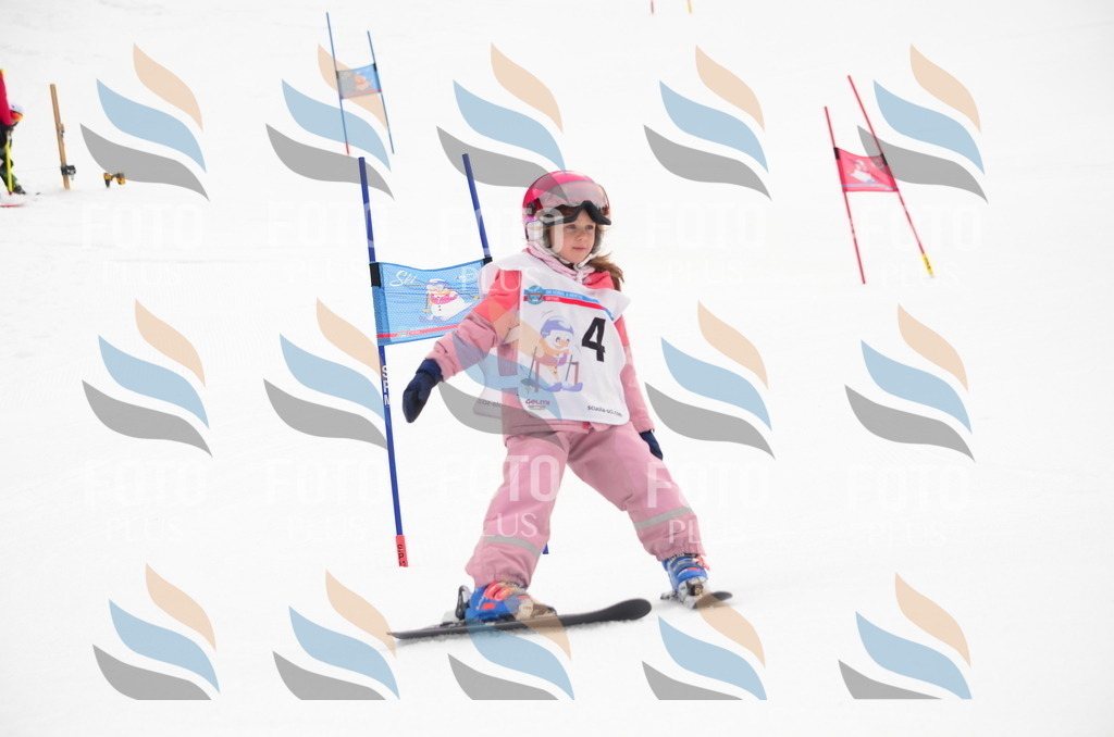 B9216 | holidayphoto