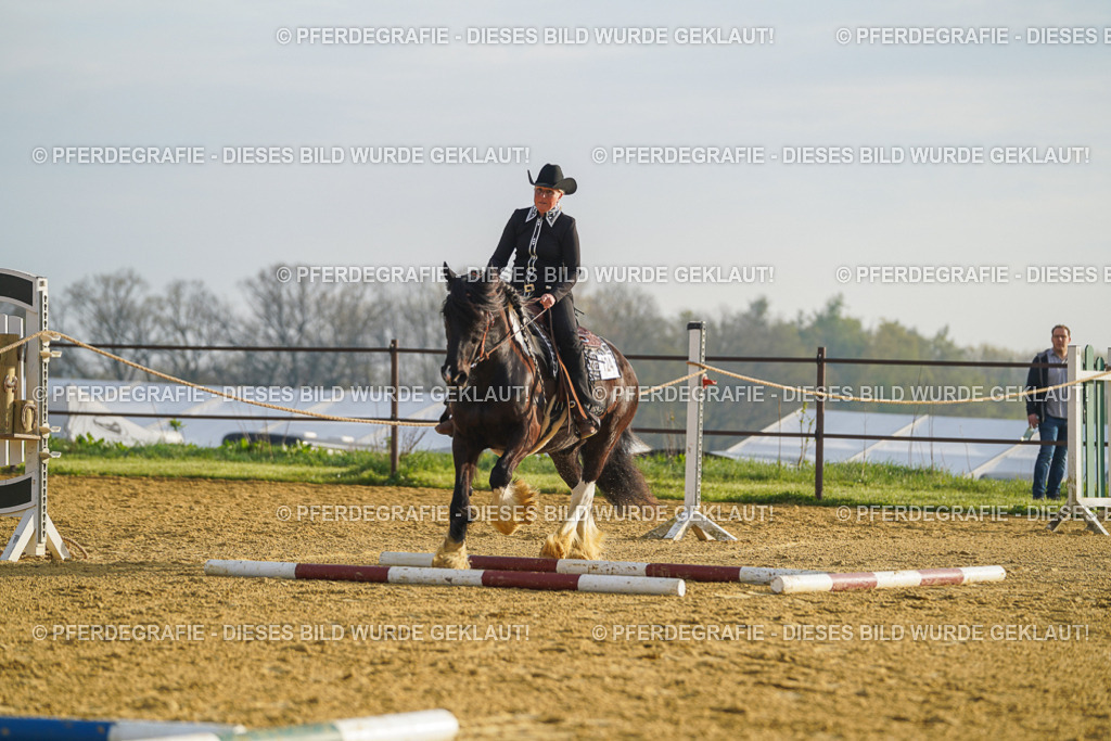 DSC09934 | Pferdegrafie