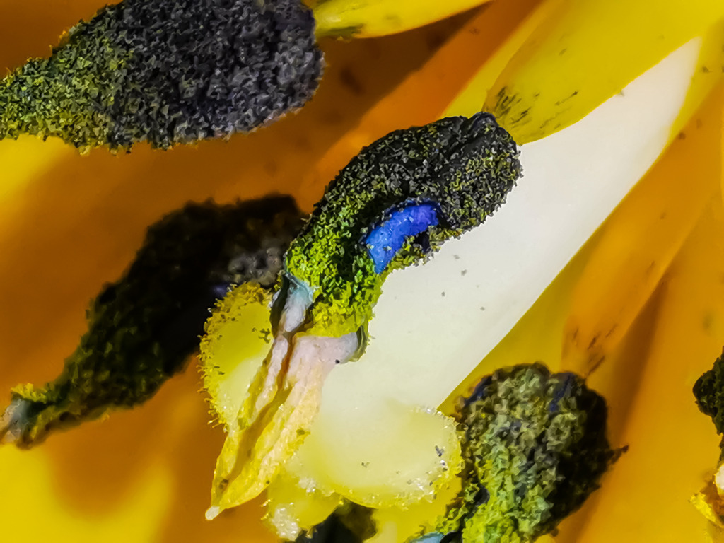 PSX_20230214_234348 | mtkfoto_ - Realisiert mit Pictrs.com