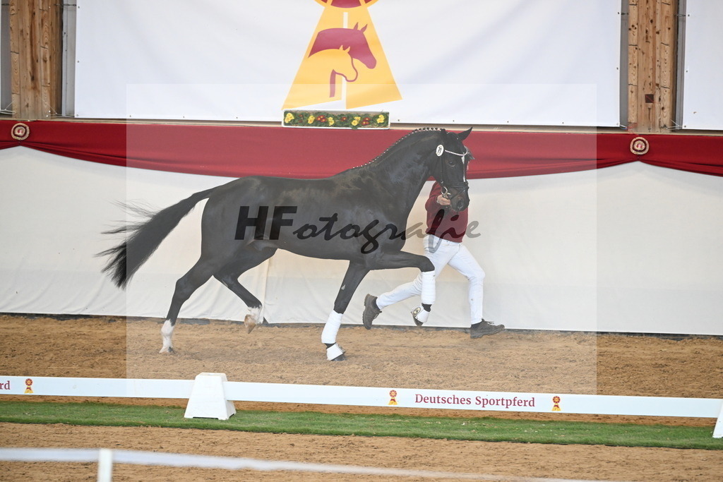 Kat.-Nr. 71 v. Jameson RS2_Greim_2250593 | hf-fotografie - Realisiert mit Pictrs.com