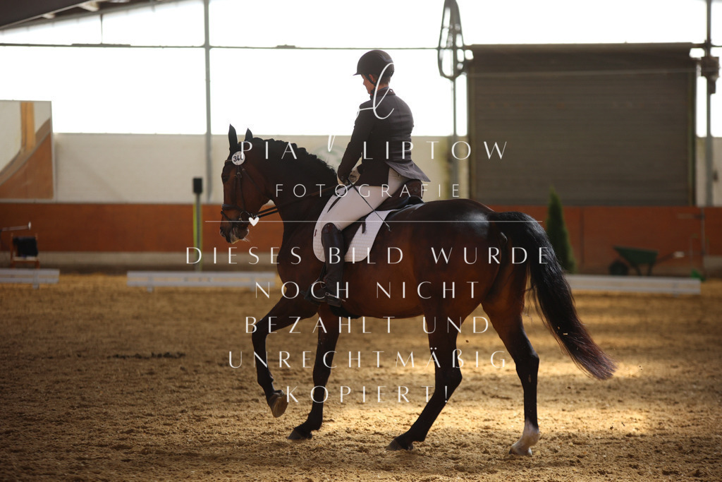 IMGT7244 | pl-fotografie