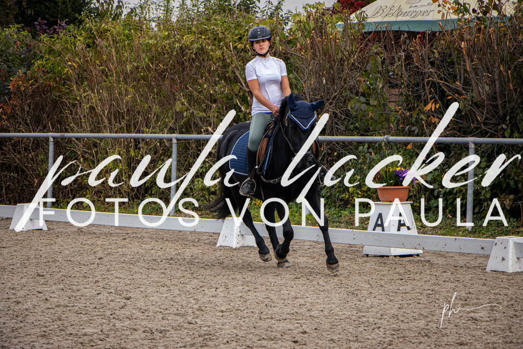 IMG_9503 | Erleben Sie dynamische Sport- und emotionale Tierfotografie in Süddeutschland mit Fotos von Paula. Spezialisiert auf Pferde- und Hundefotografie sowie Sportevents. Kontaktieren Sie mich für einzigartige und ausdrucksstarke Bilder Ihrer besonderen Momente. - Realisiert mit Pictrs.com