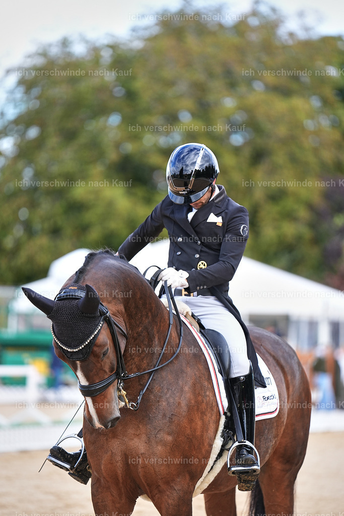 10-207-ST.GEORG SPECIAL -Marixx-3397 | working equitationturnier fotograf videograf stoibphotography marixx film working equitation deutschland reitsport turnierfotografie eventfotografie equestrian events