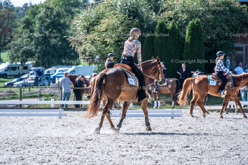 HOB08984 | BS-foto