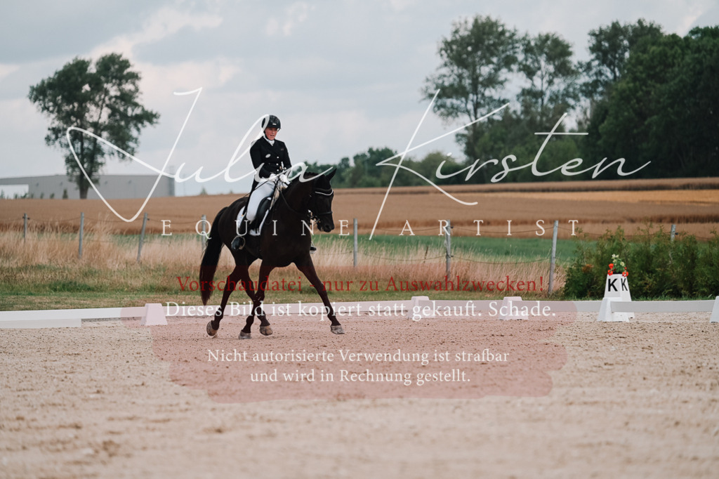 DSC_4248 | Pferde- und Turnierfotografie in Westsachsen. Pferdeportraits, Auftragszeichnungen und intuitive Kunst.