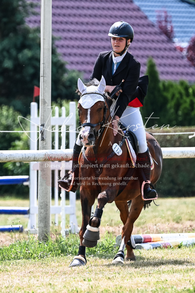 DSC_9465 | Pferde- und Turnierfotografie in Westsachsen. Pferdeportraits, Auftragszeichnungen und intuitive Kunst.