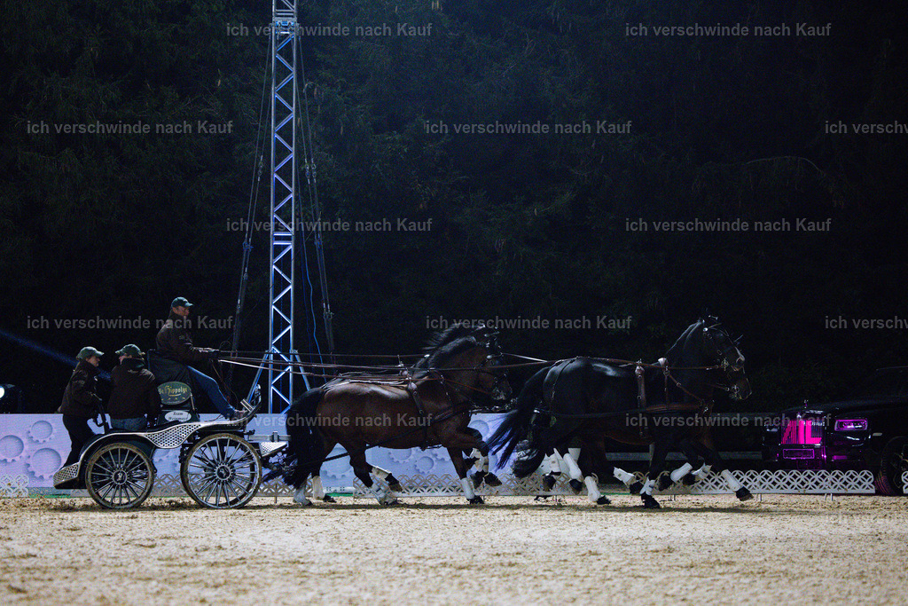 FHClassics-293 | working equitationturnier fotograf videograf stoibphotography marixx film working equitation deutschland reitsport turnierfotografie eventfotografie equestrian events