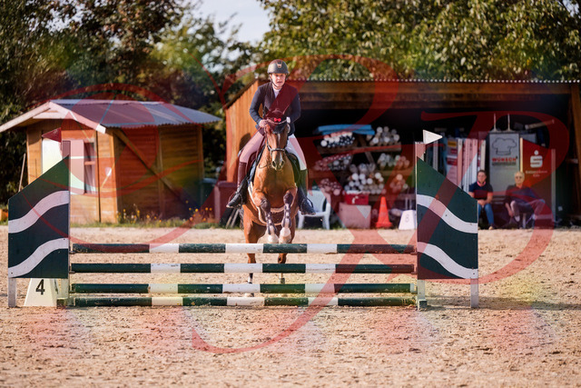 2026_10_03_Siefer-Hof_155340_Z81_73271393 | Professionelle Reitsport-, Turnier- und Eventfotografie von Robert Broda. Galerien mit ausgewählten und bearbeiteten Bildern direkt online ansehen und bestellen.