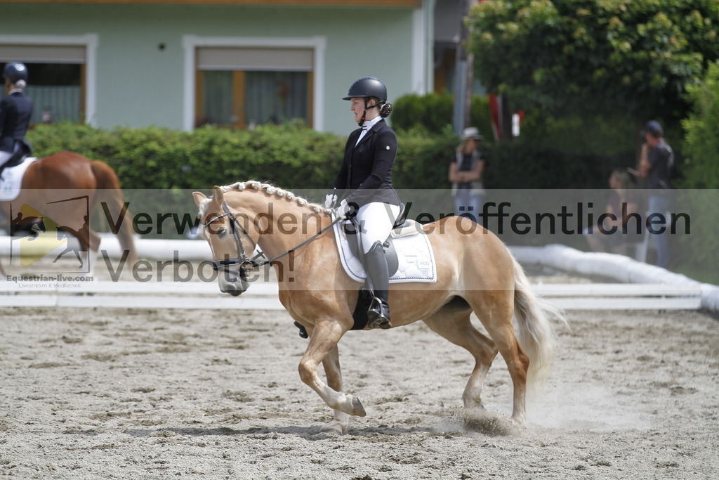_MG_8762 | equestrian-live-com