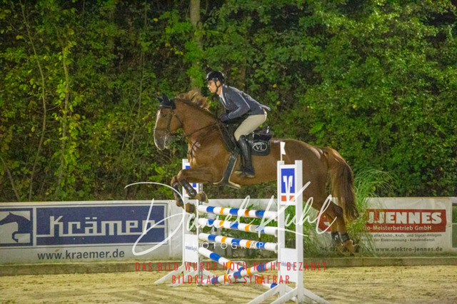 IMG_6331 | Turniersportfotografie; Pferdefotografie; Dressurfotografie