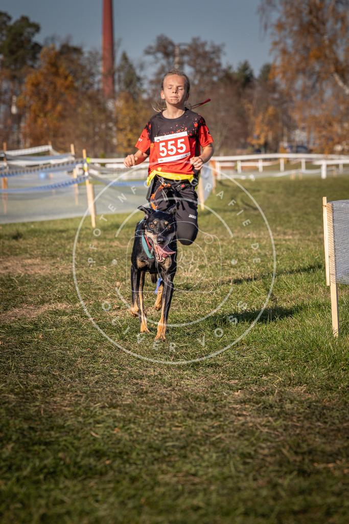 CaniXpix_0L8A7753 | Hundefotografie, Tierfotograf, Pfotenfotografie, Fotoshooting Hund, Hunde Portrait, Hundesport, Hundeportraits, Heideshooting, Hunde, Sportfotograf, Hundefotograf, Turnierhundsport, THS,  - Realisiert mit Pictrs.com