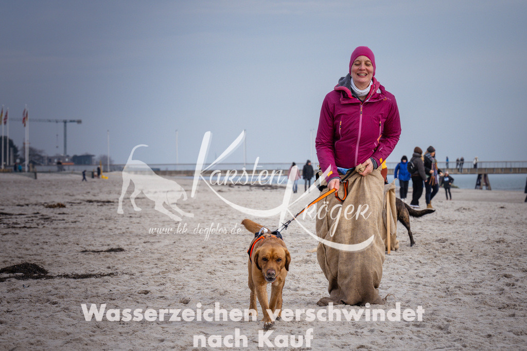 1302_ZZ97861 | kk-dogfotos
