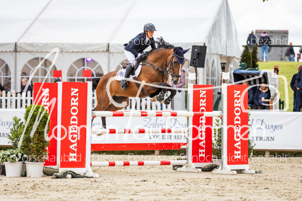 BHO-2PhSpr-M-5-2340 | MomenTaufnahmen Pferdesportfotos