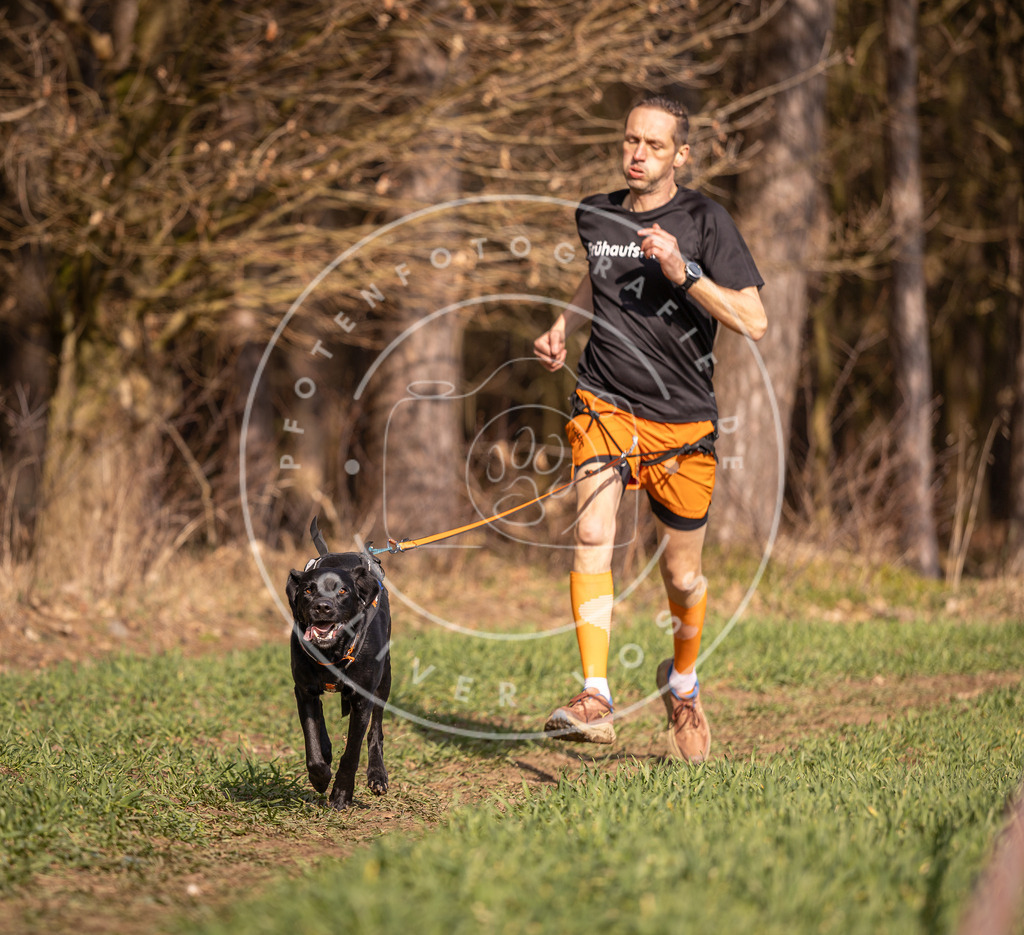 DV3A6311 | Hundefotografie, Tierfotograf, Pfotenfotografie, Fotoshooting Hund, Hunde Portrait, Hundesport, Hundeportraits, Heideshooting, Hunde, Sportfotograf, Hundefotograf, Turnierhundsport, THS,  - Realisiert mit Pictrs.com