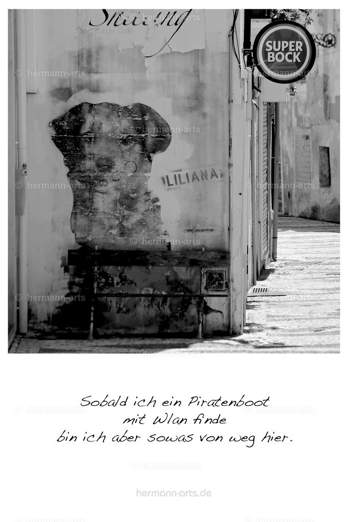 PK_Zitate_10x15_BW-155 | Photo Foto Kunst Art schwarzweiss Bilder Rheine Münster Berlin Blumen 