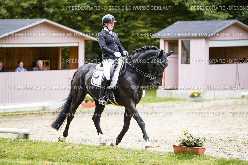 DSC02123 | Pferdegrafie