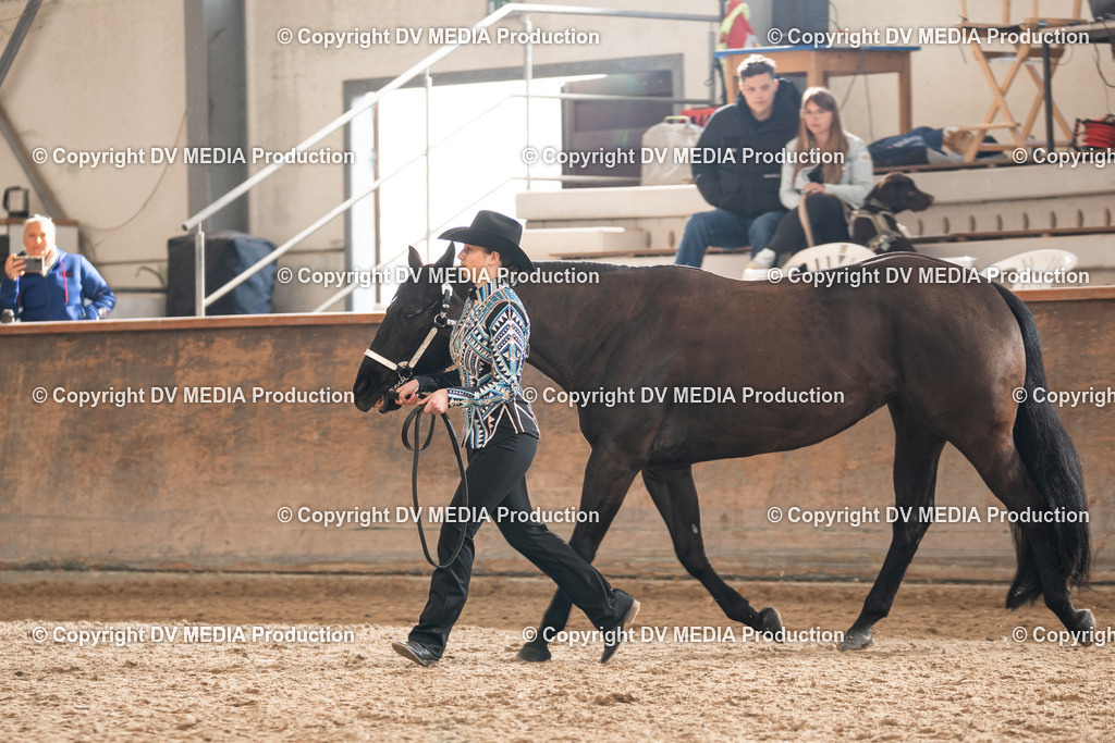 Heiligenwald Tag 2-312 | dv-media-shop - Realisiert mit Pictrs.com