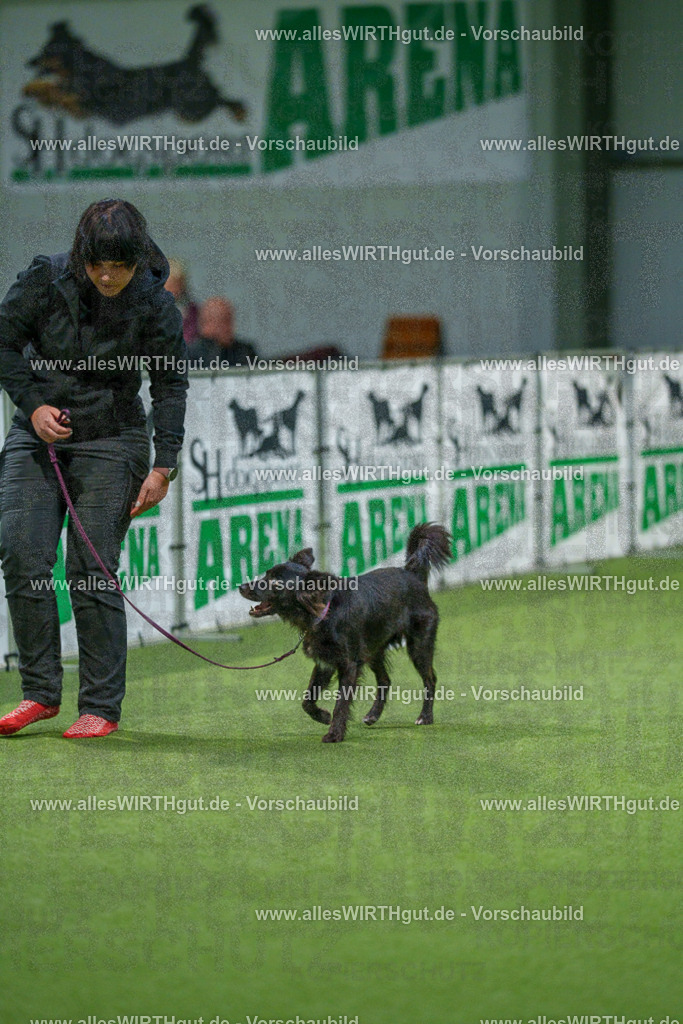 7R505754 | Professionelle Tierfotografie in Mönchengladbach von Daniel Wirth (allesWIRTHgut). Liebevolle & natürliche Bilder von Hunden & Katzen für unvergessliche Erinnerungen.