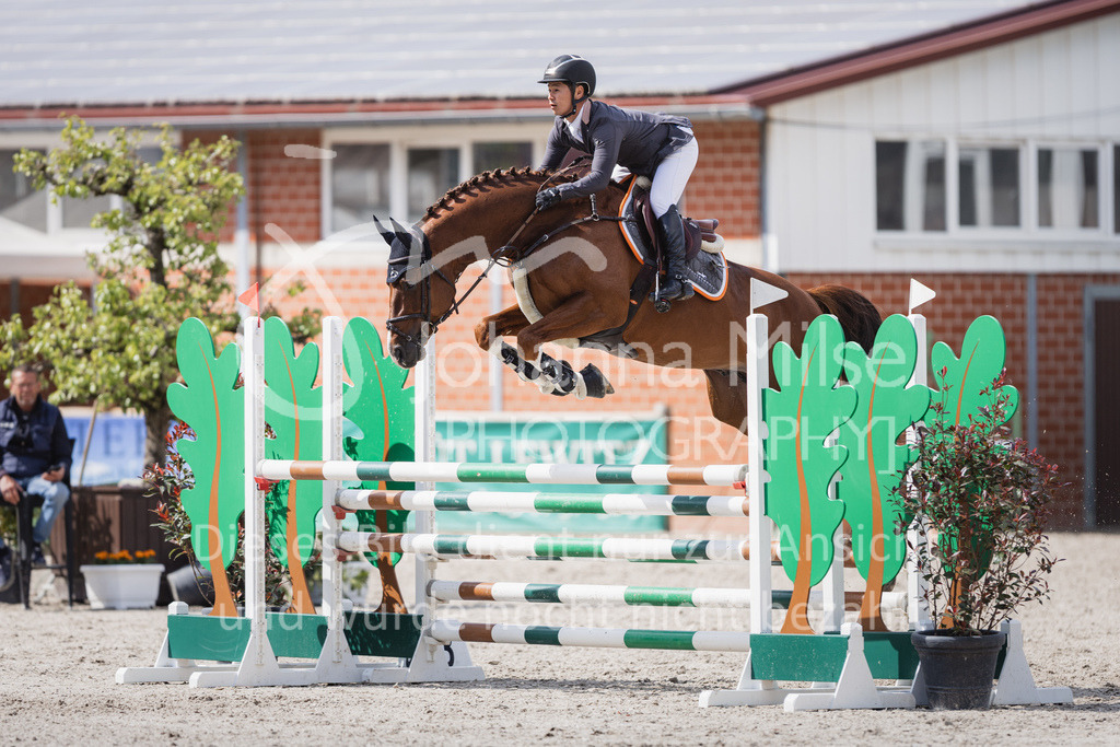 230516_Mühlen_04SprPf-L-464 | Deine schönsten Turniermomente als professionelle Fotos! Entdecke hochwertige Pferdesport-Fotografie im Online-Shop. Jetzt Fotos finden & bestellen!