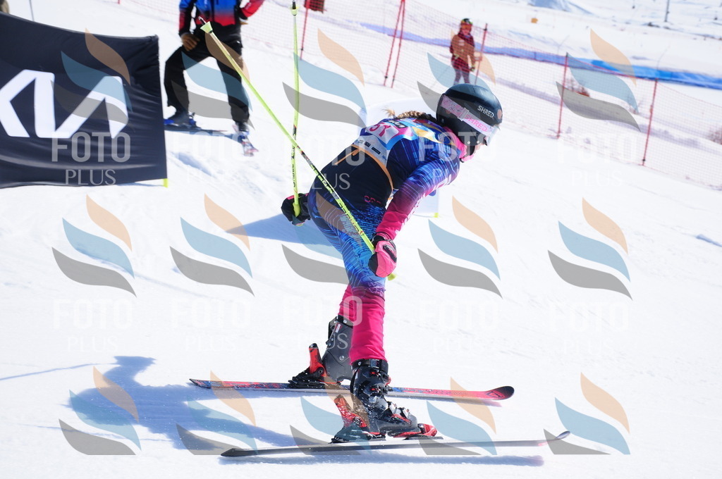 DSC_4204 | holidayphoto