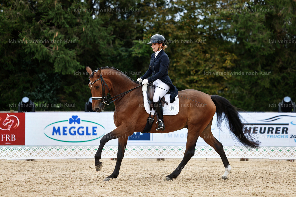 6-001-AMATUER-DRESSUR S_  -StoibPH-3558 | working equitationturnier fotograf videograf stoibphotography marixx film working equitation deutschland reitsport turnierfotografie eventfotografie equestrian events