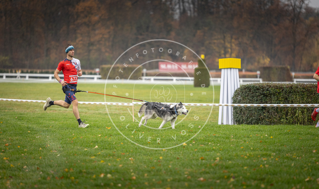 CaniXpix_DV3A9525 | Hundefotografie, Tierfotograf, Pfotenfotografie, Fotoshooting Hund, Hunde Portrait, Hundesport, Hundeportraits, Heideshooting, Hunde, Sportfotograf, Hundefotograf, Turnierhundsport, THS,  - Realisiert mit Pictrs.com