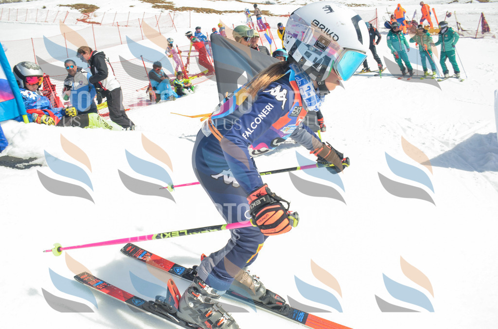 _ELE5667 | holidayphoto