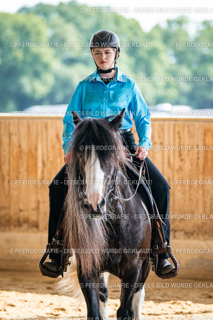 DSC08845 | Pferdegrafie