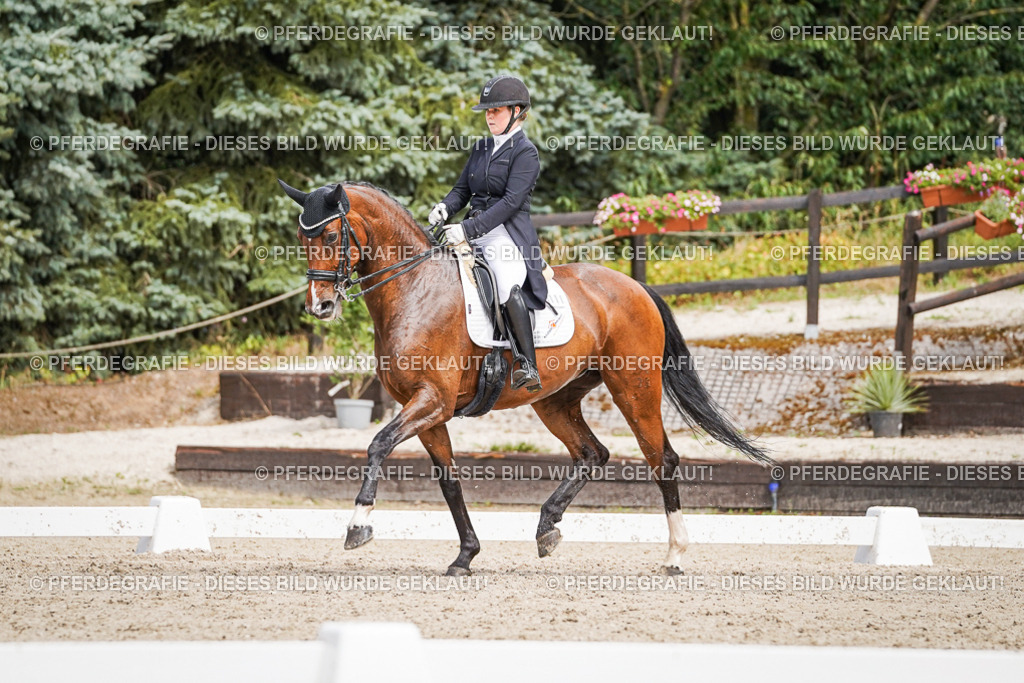 DSC06587 | Pferdegrafie