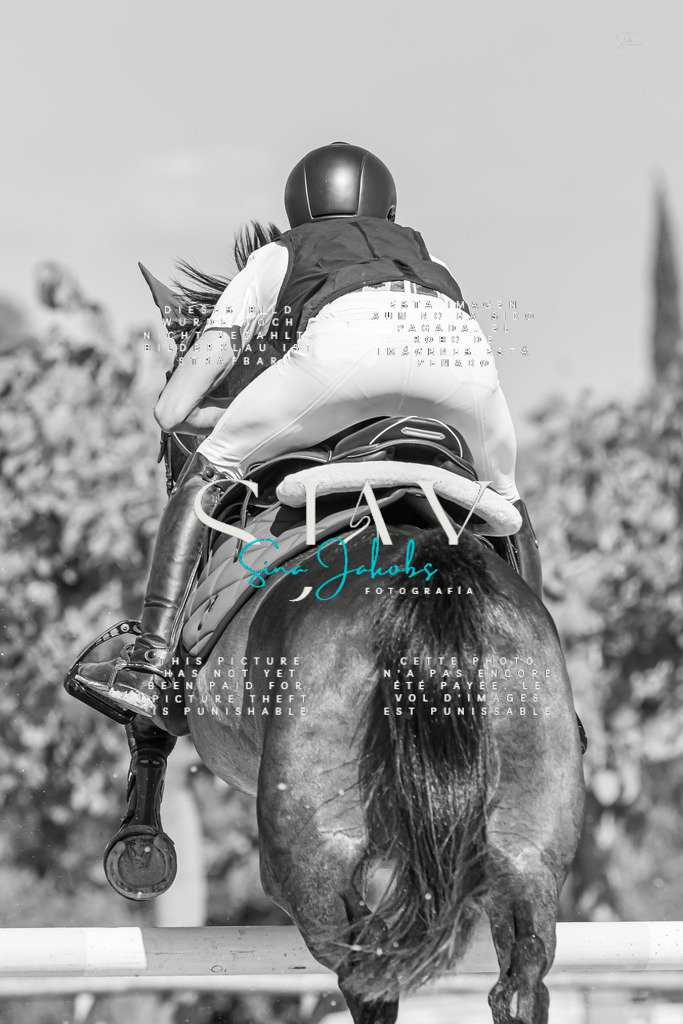 IMG_0943 | s-jay-photography - Realisiert mit Pictrs.com