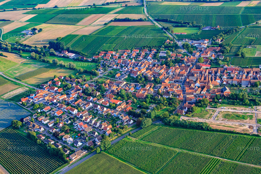 Luftbild: Dorfansicht von Nordwesten in Impflingen im Bundesland Rheinland-Pfalz in Deutschland. Foto: IMG_32936.jpg vom 03.09.2010 durch Werner Riehm/FLY-FOTO.de