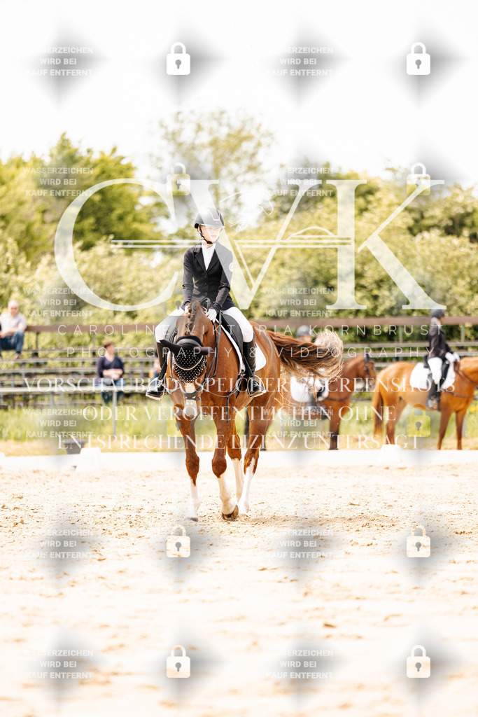 CK902286 | Turnierfotografie Pferdefotografie Trier Rheinland-Pfalz Pferdesport Reitsport Tierfotografie Sportfotografie Pferdevideo Pferdevideografie Equestrianvideography equestrianphotography  - Realisiert mit Pictrs.com