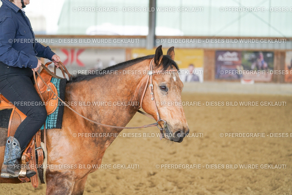 DSC03863 | Pferdegrafie