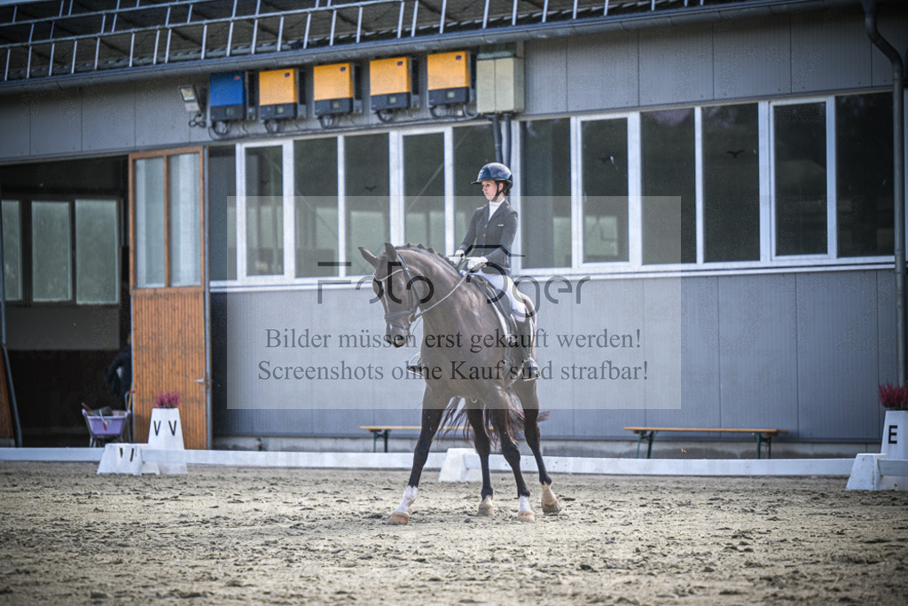 DOS_0167 | Entdecke hochwertige Reitturnierfotos von Foto Oger. Professionell, emotional und authentisch – jetzt Lieblingsmomente im Shop bestellen.Deutschlandweite Turnierfotografie. - Realisiert mit Pictrs.com
