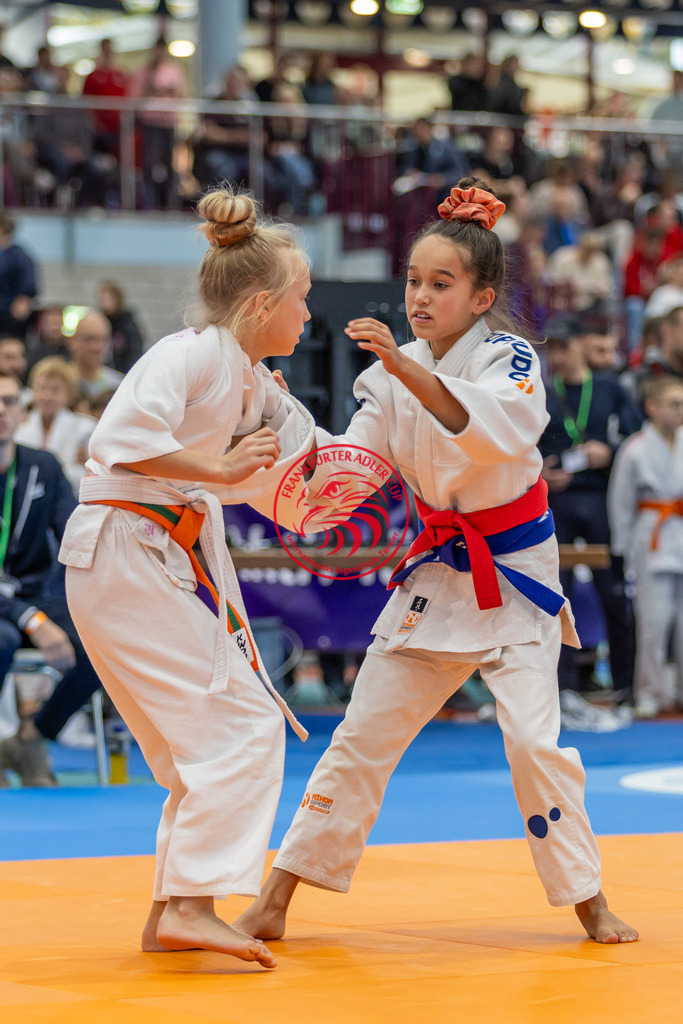 Internationaler Adler Cup 2024 | Foto vom Internationalen Adler Cup Judo Turnier im Sport- und Freizeitzentrum Kalbach im Oktober 2024 - Realisiert mit Pictrs.com