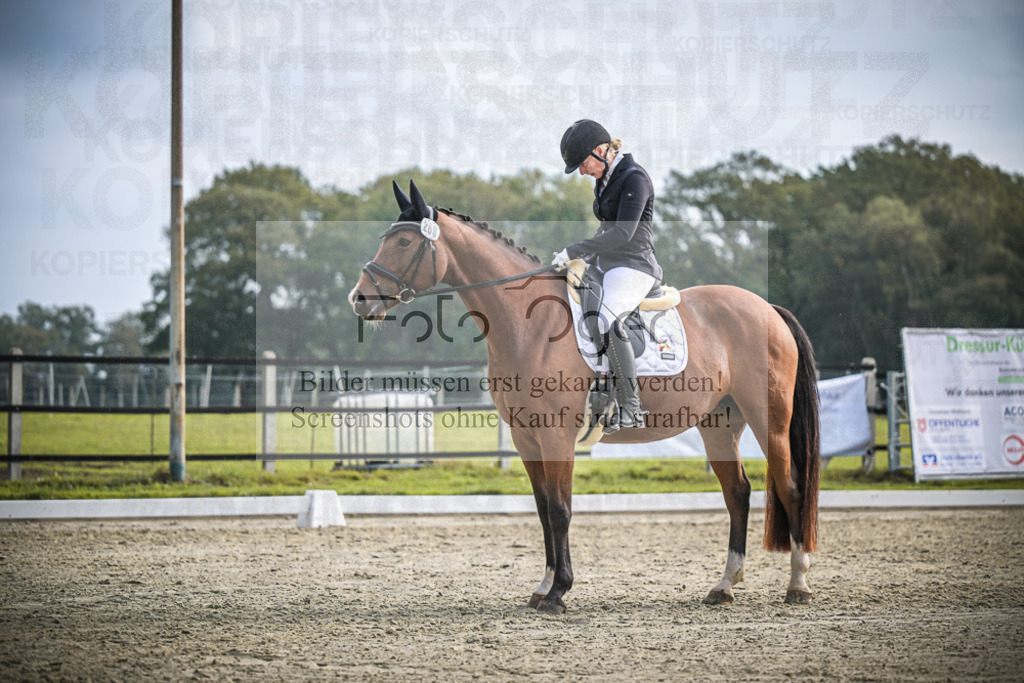 DOS_B215 | Entdecke hochwertige Reitturnierfotos von Foto Oger. Professionell, emotional und authentisch – jetzt Lieblingsmomente im Shop bestellen.Deutschlandweite Turnierfotografie. - Realisiert mit Pictrs.com