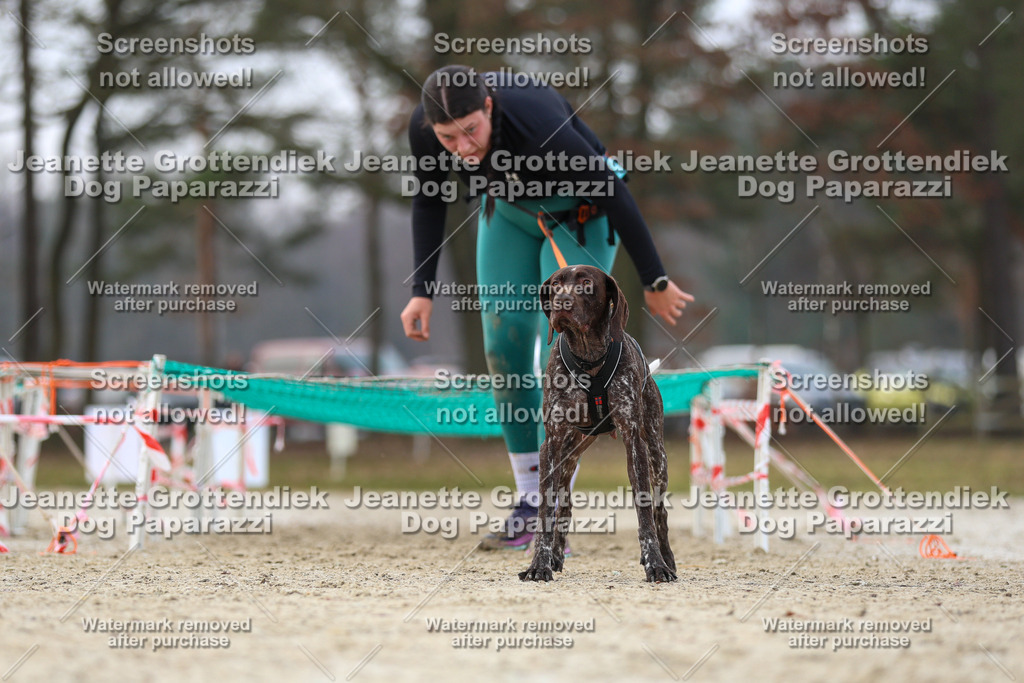 Dog Paparazzi - Strongdog North Mrz26-4510 | Dog Paparazzi Jeanette Grottendiek Fotografie & Videografie - Realisiert mit Pictrs.com