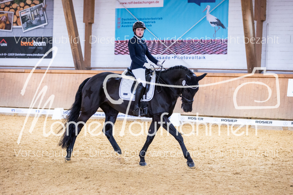 Sth-A-Dre-2St-131 | MomenTaufnahmen Pferdesportfotos