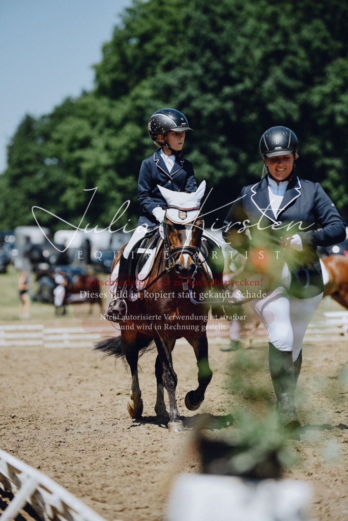 DSC_2231 | Pferde- und Turnierfotografie in Westsachsen. Pferdeportraits, Auftragszeichnungen und intuitive Kunst.